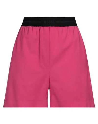 Msgm Woman Shorts & Bermuda Shorts Fuchsia Size 6 Virgin Wool, Elastane In Pink