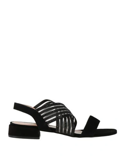 Pollini Woman Sandals Black Size 8 Leather, Textile Fibers