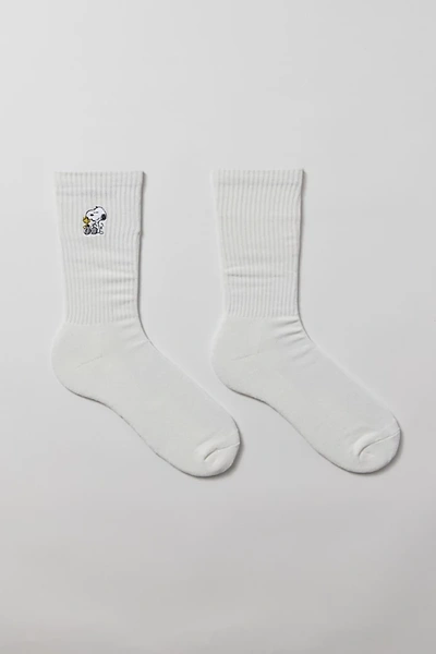 Urban Outfitters Peanuts Snoopy & Woodstock Friends Crew Sock In Cream, Men's At