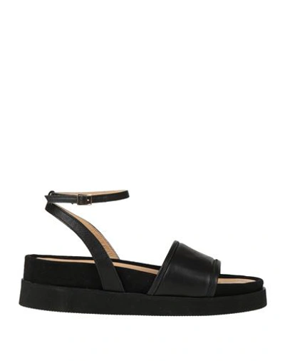 Apepazza Woman Sandals Black Size 11 Leather