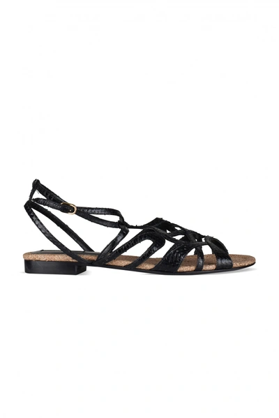 Dolce & Gabbana Sandals In Black