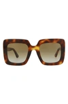 Gucci 53mm Square Sunglasses In Havana Brown