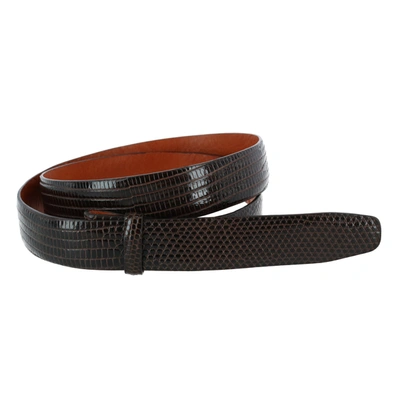 Trafalgar Genuine Lizard 25mm Compression Belt Strap In Brown