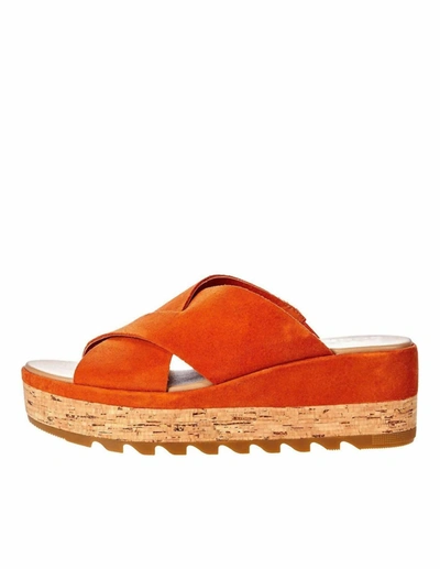 Sorel Cameron Flatform Mule In Desert Sun, Gum In Multi