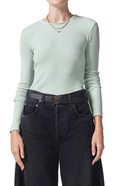 Citizen Of Humanity Citizens Of Humanity Bina Rib Crewneck Sweater In Pistachio