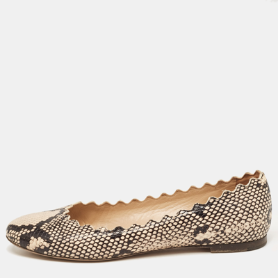 Pre-owned Chloé Two Tone Scalloped Embossed Python Lauren Ballet Flats Size 37 In Beige