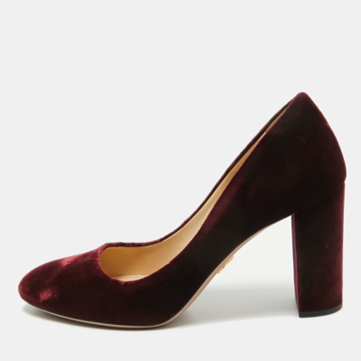 Pre-owned Prada Burgundy Velvet Pointed Toe Block Heel Pumps Size 35.5