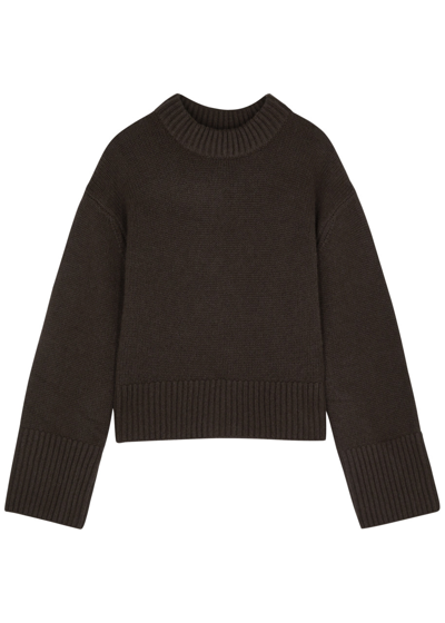 Lisa Yang Sony Cashmere Jumper In Brown