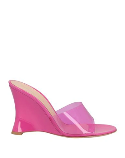 Gianvito Rossi Woman Sandals Fuchsia Size 9 Plastic In Pink