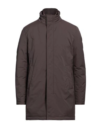 Herno Man Down Jacket Dark Brown Size 44 Polyester