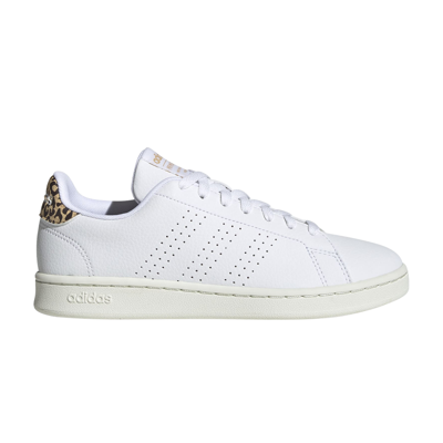 Pre-owned Adidas Originals Wmns Advantage 'white Leopard'