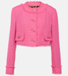 Dolce & Gabbana Rachel Collarless Crop Tweed Jacket In Pink