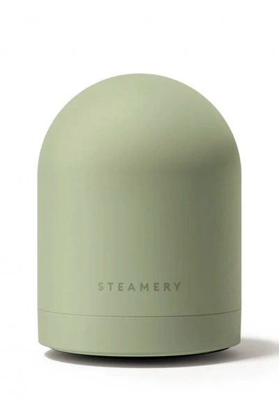Steamery Pilo No.2 Fabric Shaver - Sage