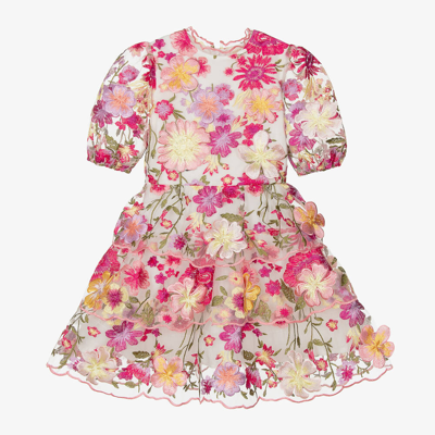 Marlo Babies' Girls Pink Embroidered Tulle Dress