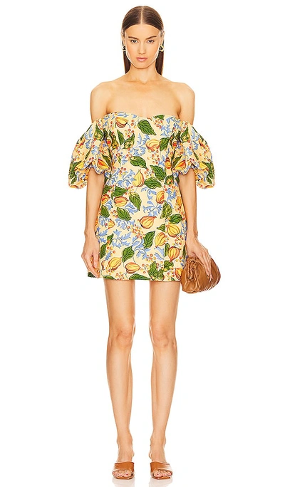 Rhode Dali Dress Capri Orchard 4