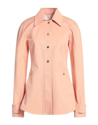 Cedric Charlier Woman Shirt Blush Size 6 Cotton, Elastane In Pink