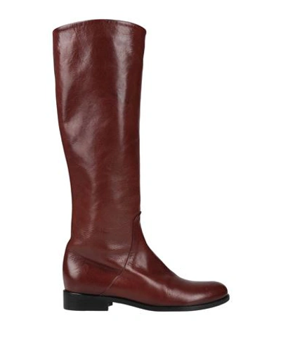 A.testoni A. Testoni Woman Boot Cocoa Size 7 Calfskin In Brown