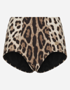 Dolce & Gabbana Slip Guaina In Multicolor