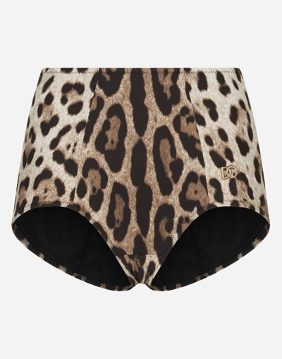 Dolce & Gabbana Slip Guaina In Multicolor