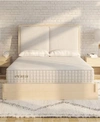 12park Evaya 11 Cushion Firm Mattress Collection In No Color