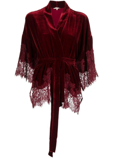 Gold Hawk Velvet Lace-trim Robe In Red