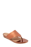Softwalk Chandler Sandal In Copper