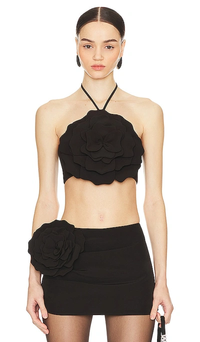 Lovers & Friends Zora Crop Top In Black