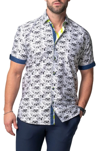Maceoo Galileo Bulldog White Contemporary Fit Short Sleeve Button-up Shirt
