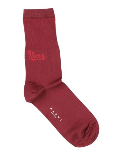 Marni Woman Socks & Hosiery Burgundy Size 8-10 Viscose, Nylon, Elastane In Red