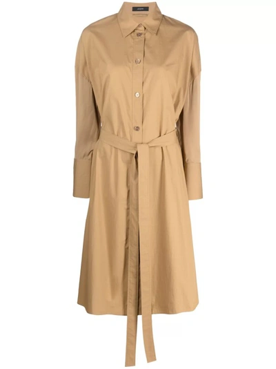 Joseph Tied-waist Cotton Shirtdress In Brown