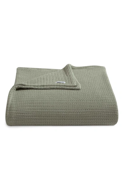 Calvin Klein Honeycomb Cotton Blanket In Sage Green