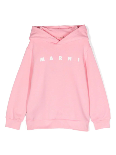 Marni Kids' Ms119u Sweatshirt In Pink & Purple