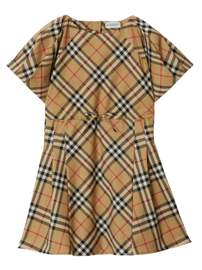 Burberry Kids' Little Girl's & Girl's Jada Pleated Check Dress In Brown