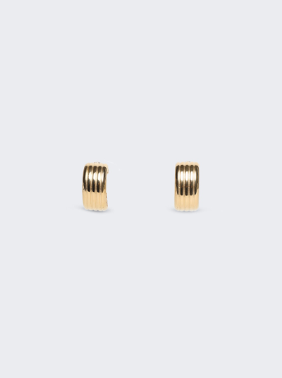 Ivi Signore Oval Hoop Earrings In Gold