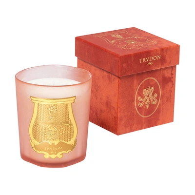 Trudon Tuileries Classic Candle In 9.5 oz