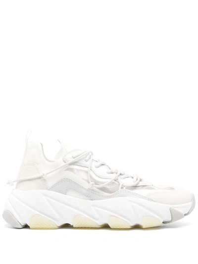 Basket ash 2025 addict