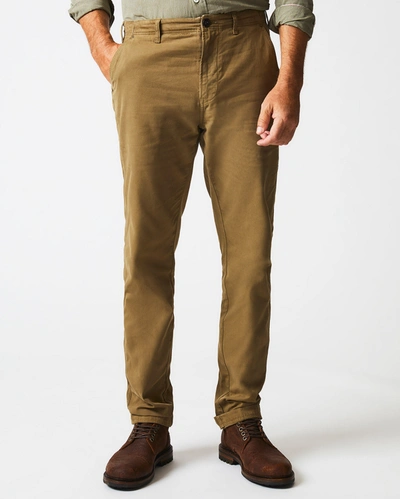 Reid Canvas Chino Pant In Moss Green