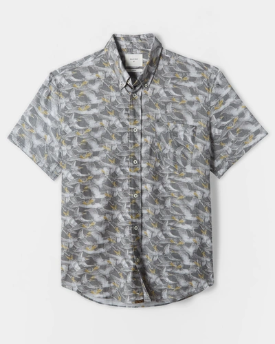 Reid S/s Pelican Sketch Shirt In Grey