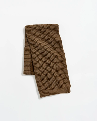 Reid Wool Ribbon Scarf In Dark Olive