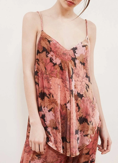 Mes Demoiselles Bellona Velvet Top In Floral Combo In Multi