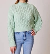 DESIGN HISTORY CHIP SWEATER IN MINT