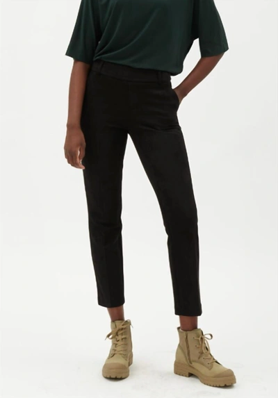 Iltm Faux Suede Pull On Pant In Black