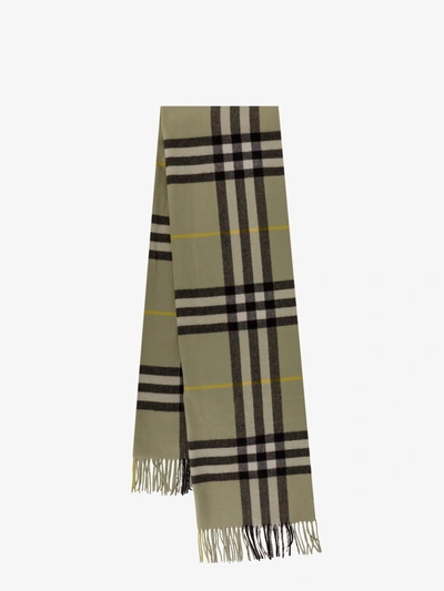 Burberry Scarf In Green
