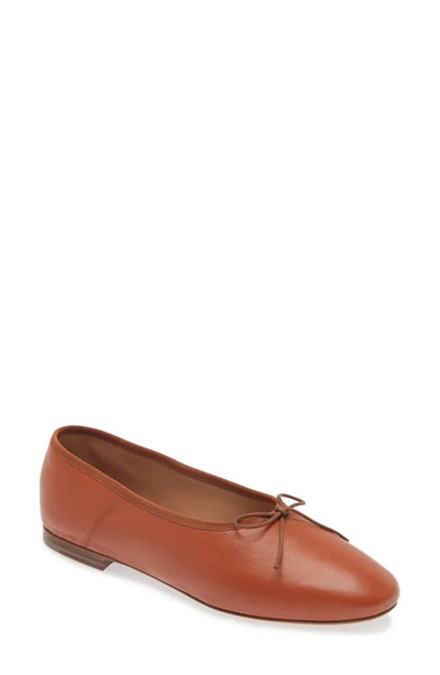 Mansur Gavriel Mansur Gravriel Women's Dream Ballet Flats In Maple