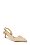 Sarto By Franco Sarto Kimberly Half D'orsay Pointed Toe Kitten Heel Pump In Naturalgold