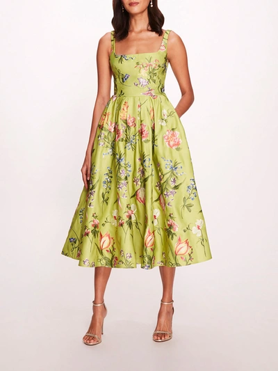 Marchesa Alex Midi Dress In Spring Green Multi