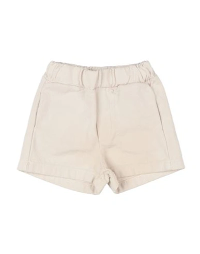 Donsje Amsterdam Babies'  Newborn Boy Shorts & Bermuda Shorts Beige Size 0 Organic Cotton