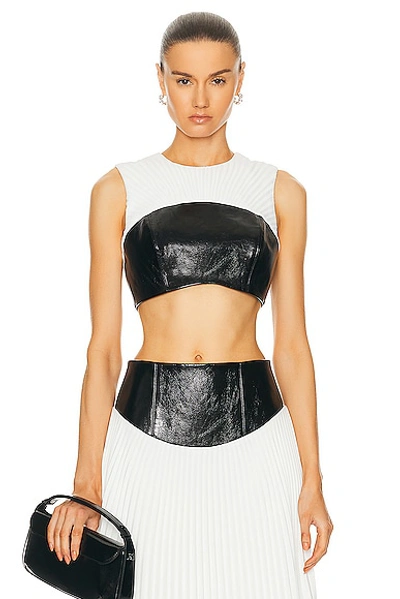 Brandon Maxwell The Lydia Cotton Bustier Top In Black & White