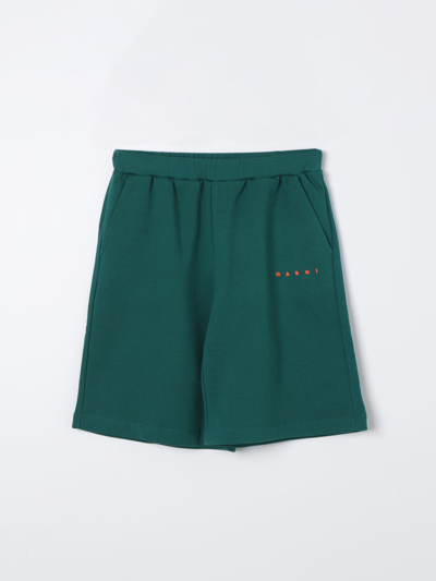 Marni Trousers  Kids Colour Green