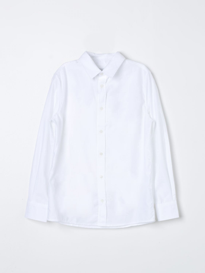 Dolce & Gabbana Kids' 衬衫  儿童 颜色 白色 In White